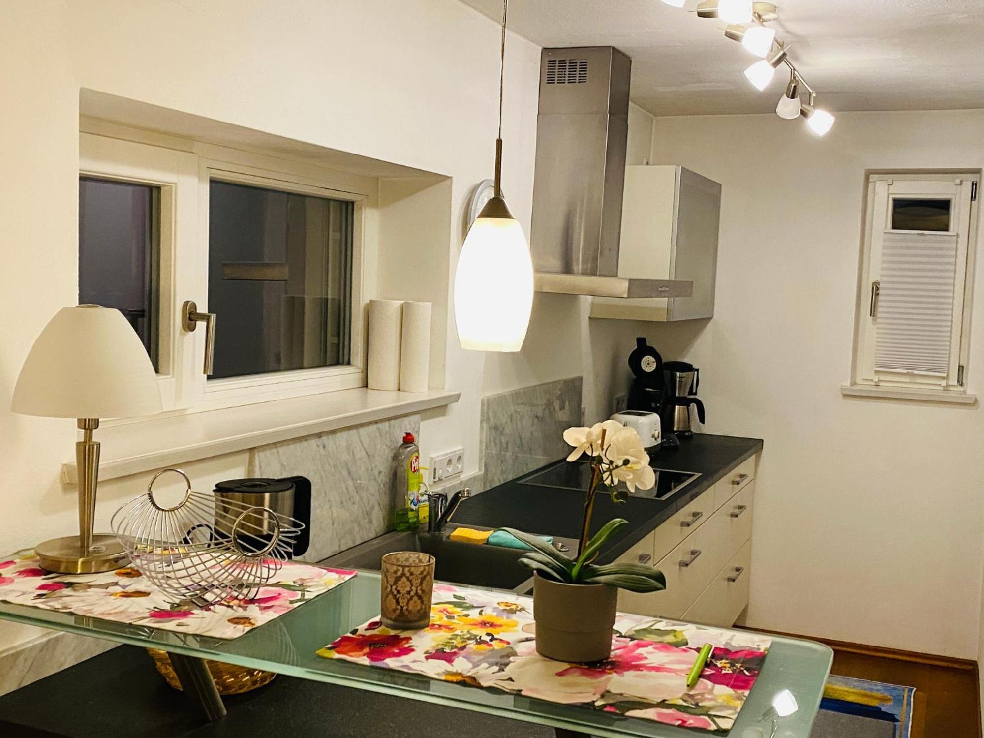 Fewo Luxus Wohnung Im Eigenen Ferienhaus, 120 Qm, Naehe Regensburg Mit Balkon, Terrasse & Garten, Gute Zuganbindung Laber Eksteriør billede